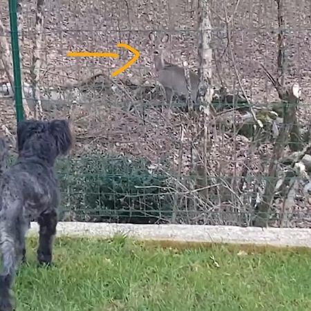 Apartament Birdsong Getaway Jurdani Zewnętrze zdjęcie