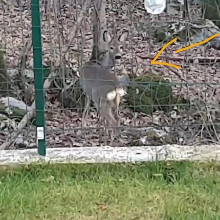 Apartament Birdsong Getaway Jurdani Zewnętrze zdjęcie